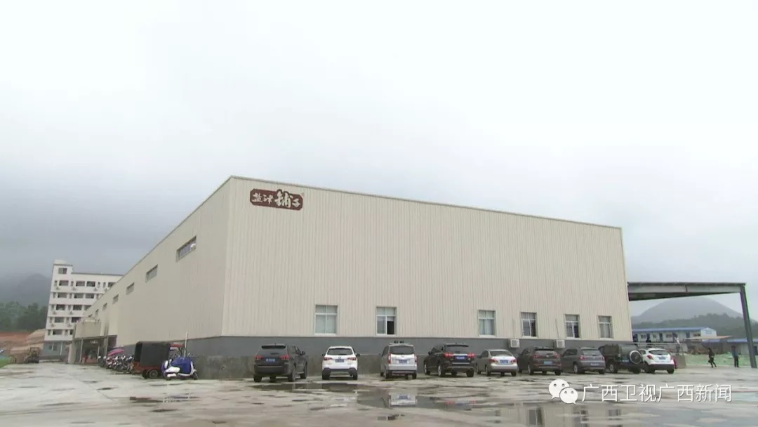 凭祥口岸2020年商品出口占比,凭祥畅通绿色通道口岸繁忙而有序