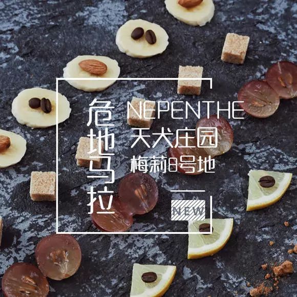 爱的味道，是来自墨尔本的咖啡味道｜凡仕