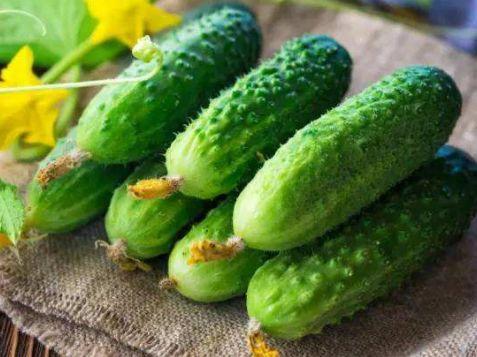 怎样腌酱黄瓜正宗酱黄瓜,甜酱黄瓜六必居酱黄瓜腌制配方