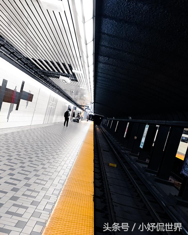 强迫症看了很舒服的100张图,密集强迫症照片