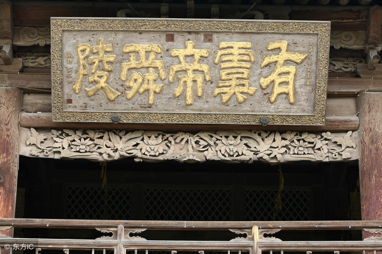 湘妃斑竹真实身份,湘妃斑竹长在哪里