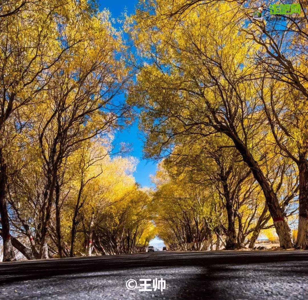 媲美川藏线的独库公路,能媲美独库公路的另一条小众公路