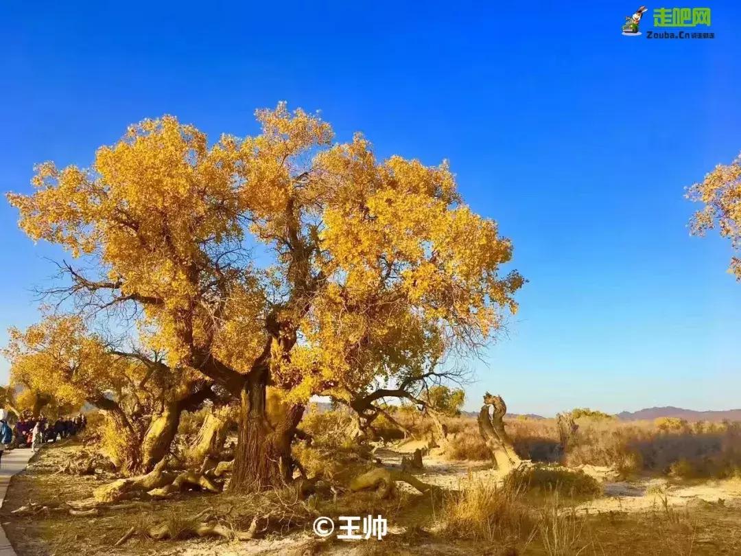 媲美川藏线的独库公路,能媲美独库公路的另一条小众公路