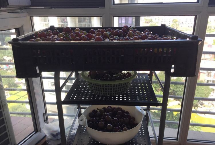 自酿葡萄酒的详细制作方法,葡萄酒正确做法自酿全过程