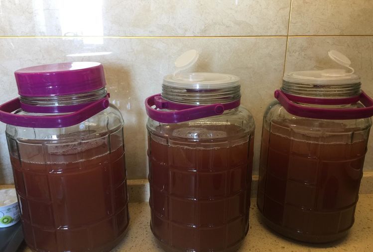 自酿葡萄酒的详细制作方法,葡萄酒正确做法自酿全过程