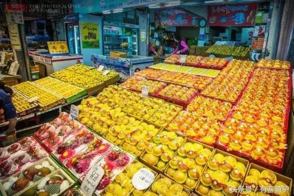 济州岛包车两日游攻略,韩国济州岛一日游最佳美食攻略