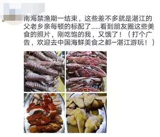 广东10大渔港 (广东各大渔港)