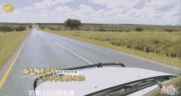 陈柏霖一个人的旅行,陈柏霖花少完整版视频