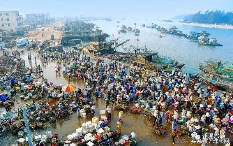 湛江各个渔港,广东渔港码头开海新情况