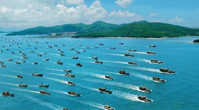 湛江各个渔港,广东渔港码头开海新情况