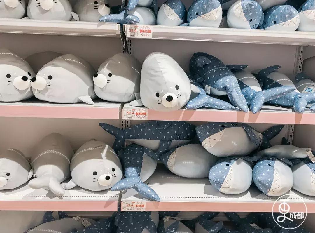 在成都花了30块钱,在成都花很少的钱可以赚钱的项目