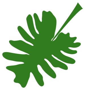 小萱说历史,小萱事件后续