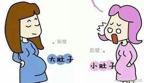 胎盘后壁和胎盘前壁孕妇的区别,胎盘后壁和胎盘前壁的区别是什么