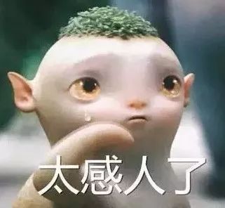 执行利剑深度解析,执行利剑是什么