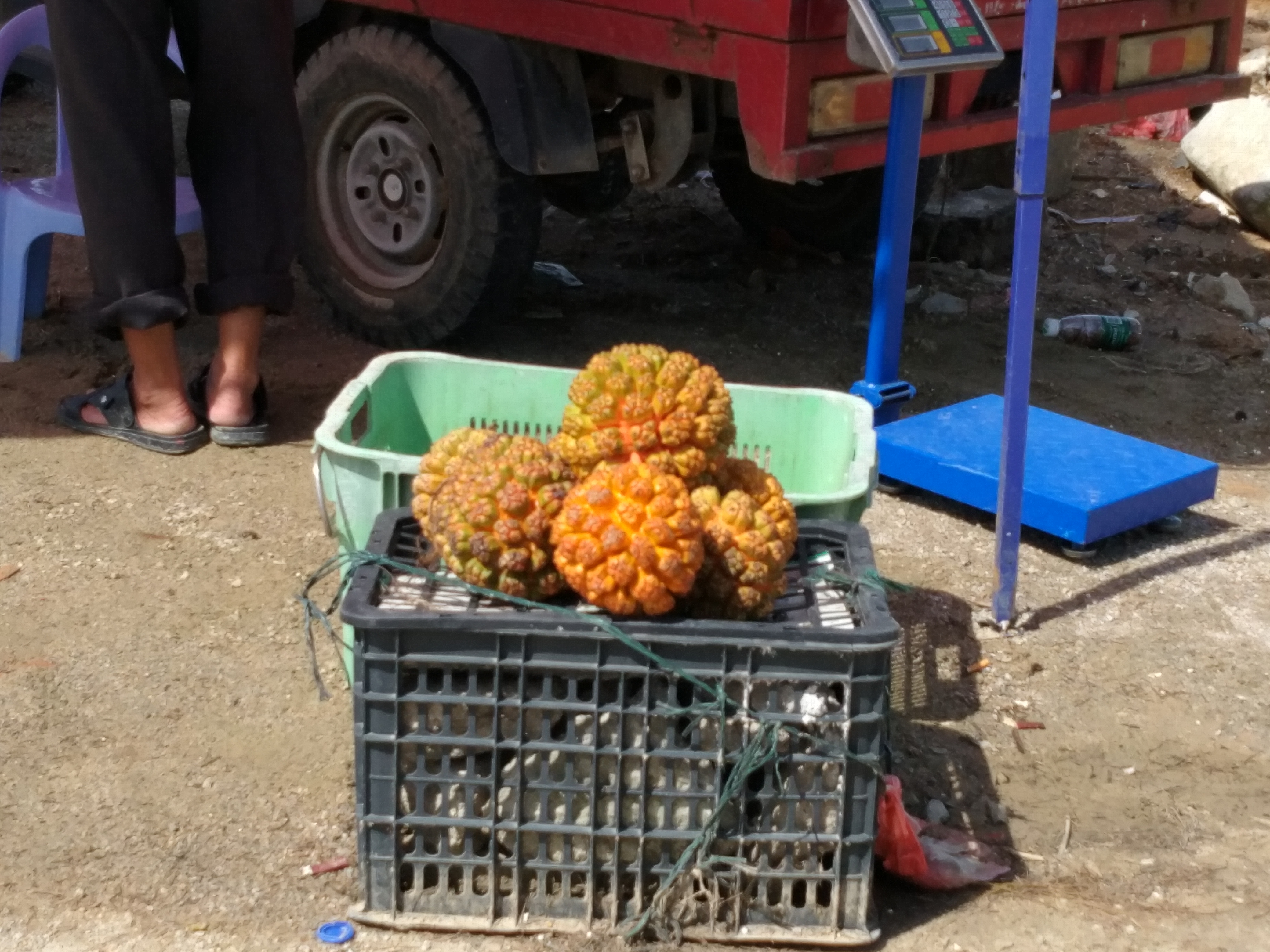 惠州双月湾五星级海边度假酒店,广东海边五星级酒店推荐