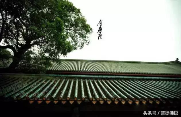 中国最美的寺图片,中国最美的寺庙列表汇编