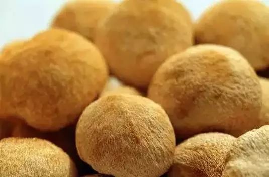 各种菇类都有哪些功效,各种菇类抗癌作用大汇总