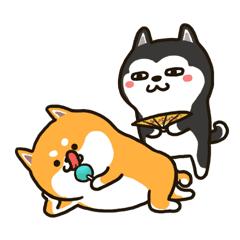 公交新开调整8条快速直达专线,公交线路有变