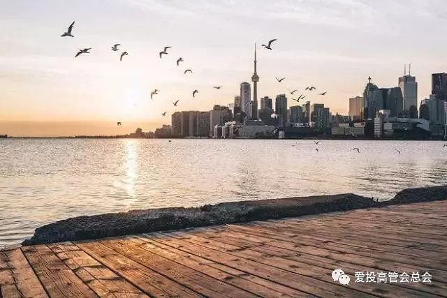 证券与股票基础知识书籍,证券股票术语学习