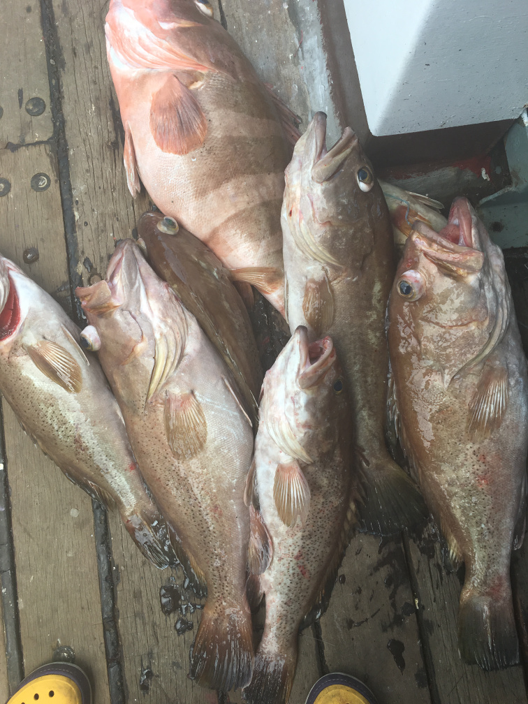 别让贫穷限制了你的想象豪宅,别让贫穷限制了你的想象力图片