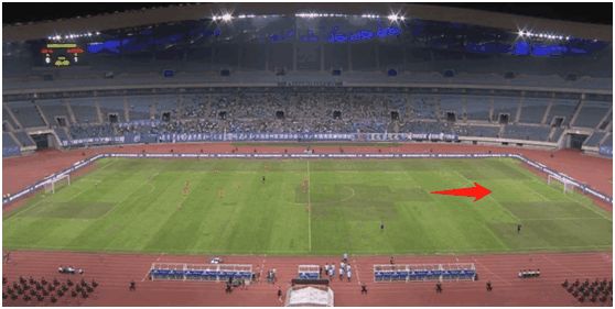 国内足球草坪,中国足球场地草坪