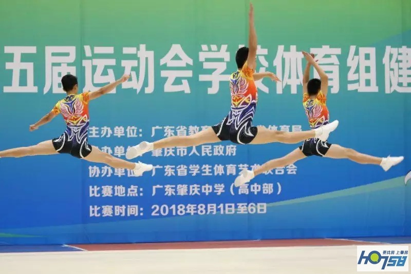 肇庆市第17届省运会,肇庆省运会各市奖牌榜