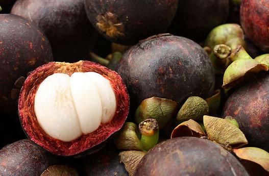 怎样挑选山竹才新鲜又好吃,山竹的果实是硬的还是软的