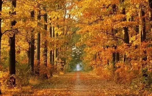 建德旅游风景,建德山水风景