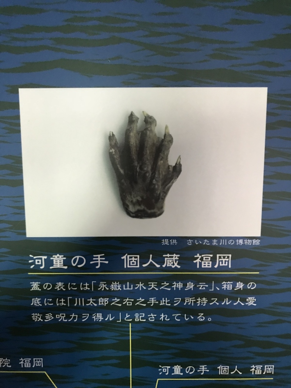 日食记2023,日食记1-7