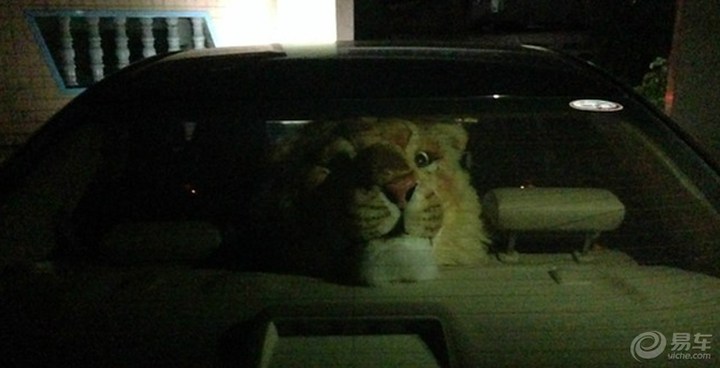 怎么对付远光狗又不犯法,对付远光狗用镜子管用吗