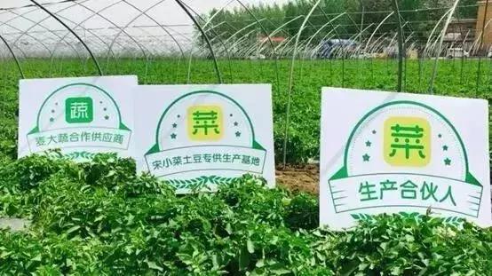 这几年倒下的生鲜电商,生鲜电商迎来奇迹逆转