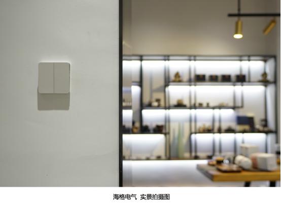 海格电气｜用艺术演绎美学用情感温暖生活