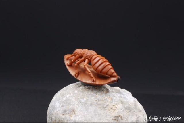 文玩手串新手入门买什么好,菩提手串新手入门