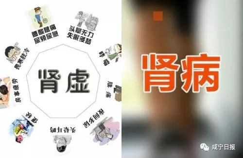 肾虚和肾病是两码事,肾虚咨询医生微信