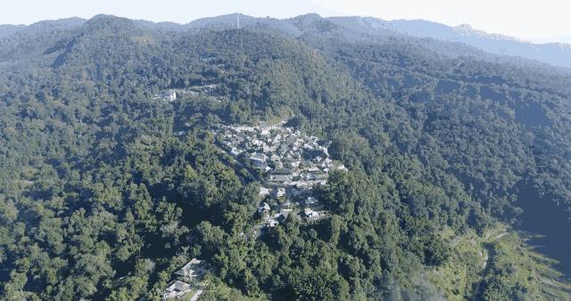 勐海县第一普洱茶,勐海茶厂最出名的茶