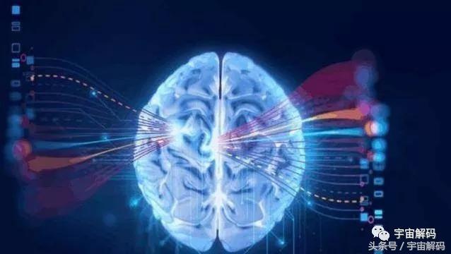 生物进化论的未解之谜,大脑封禁生物进化论