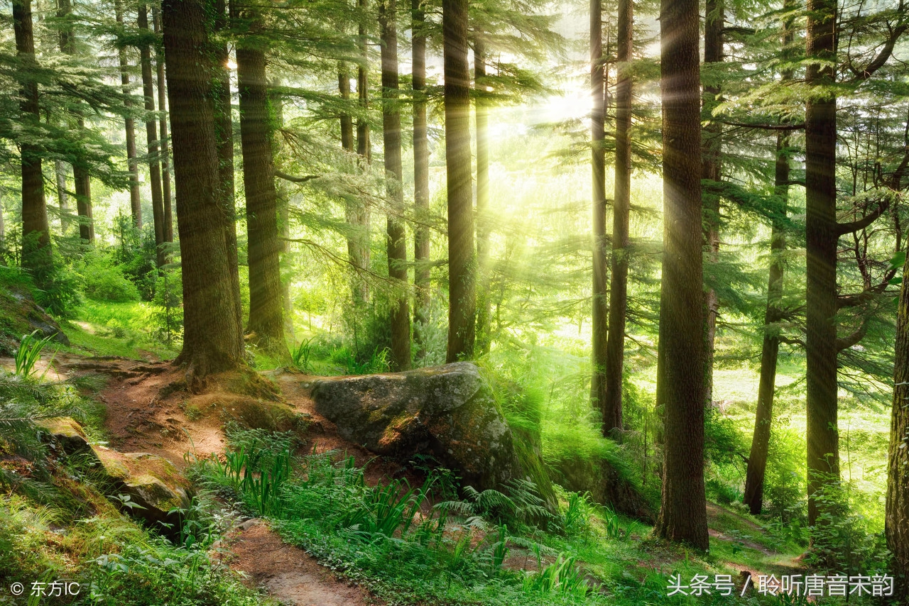 王维山水田园诗十二首，心累的时候，归隐在山水里
