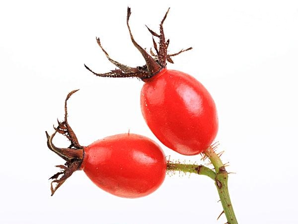 我是玫瑰果不是玫瑰，我跟绵羊油一起给你惊喜！