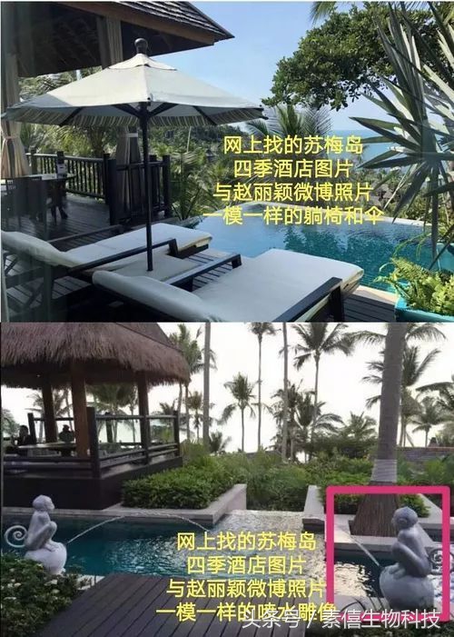 冯绍峰赵丽颖聊天,赵丽颖冯绍峰谈恋爱逛街