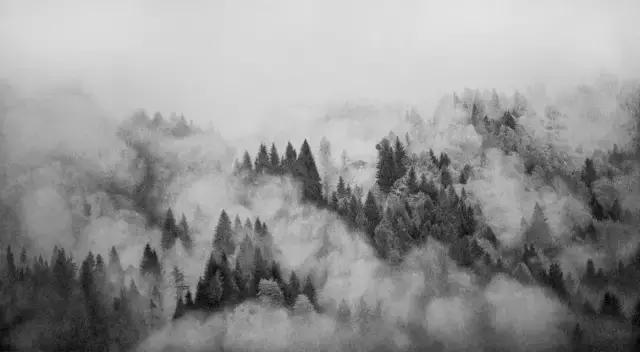 顶级超写实钢笔画,最惊艳的钢笔画大神