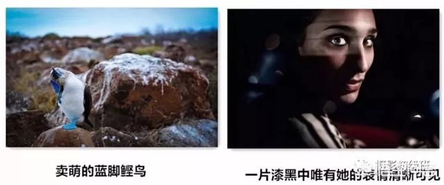 初学者单反相机入门教程,如何学习单反数码相机的简单操作