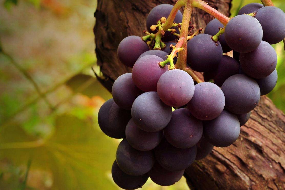 独来独往的人出现的三种气质,做人好的人身上都有的特征