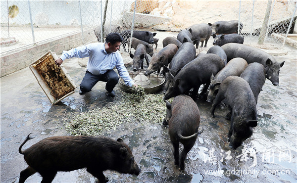 珍稀动物园锦江山,广东最珍稀动物园