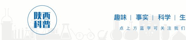 腰椎间盘突出贴膏药要贴多久治愈 (腰椎间盘突出脚麻贴膏药有效果吗)