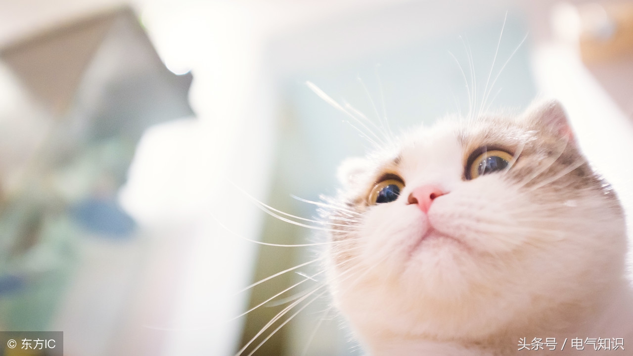 plc编程入门怎么学才是正确的,plc编程难学吗用什么语言