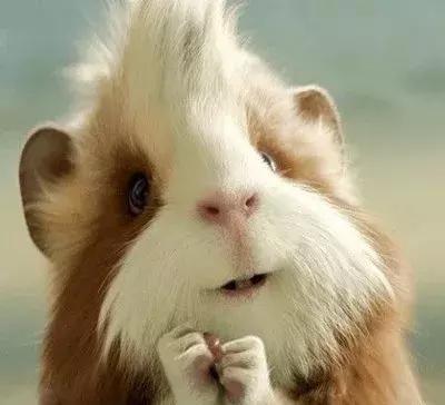 时不时就犯病的尴尬癌患者们有救了!