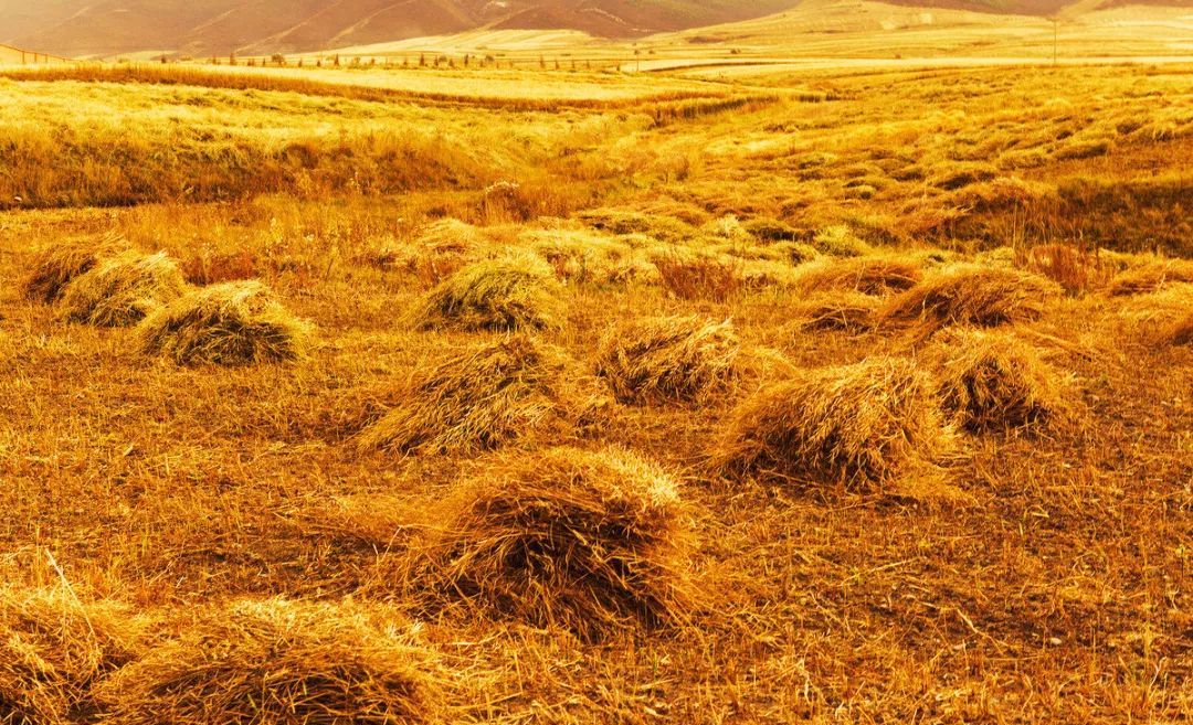 张掖是现在的什么城市,张掖一座被严重低估的城市