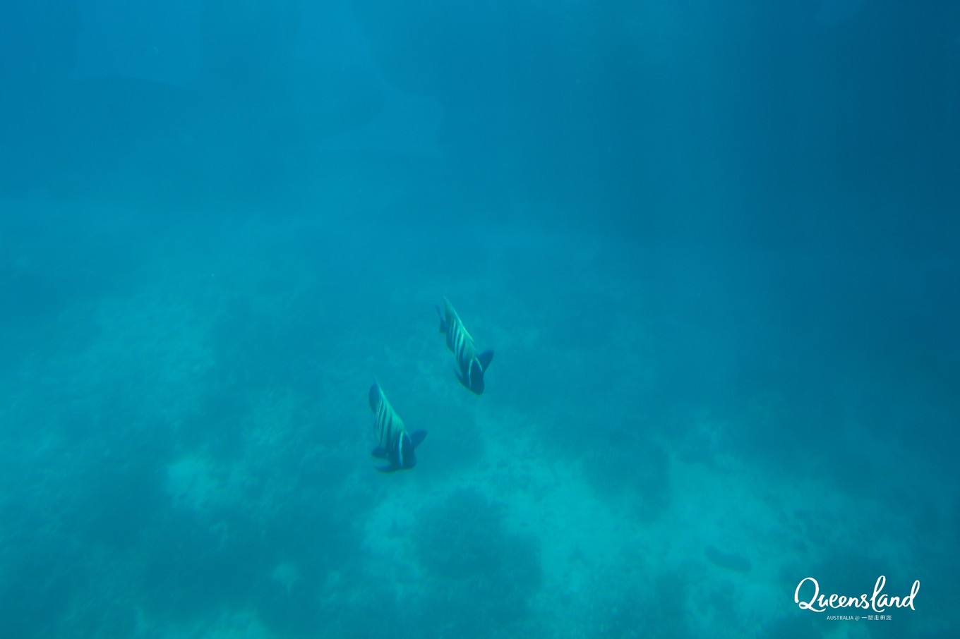大堡礁值得去吗现在能去吗,大堡礁旅行攻略