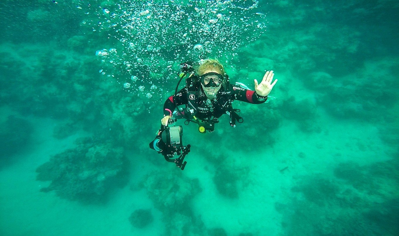 大堡礁值得去吗现在能去吗,大堡礁旅行攻略