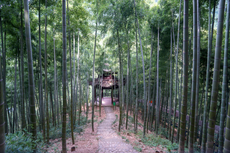 湖州安吉旅游省钱攻略,湖州安吉旅游景点攻略